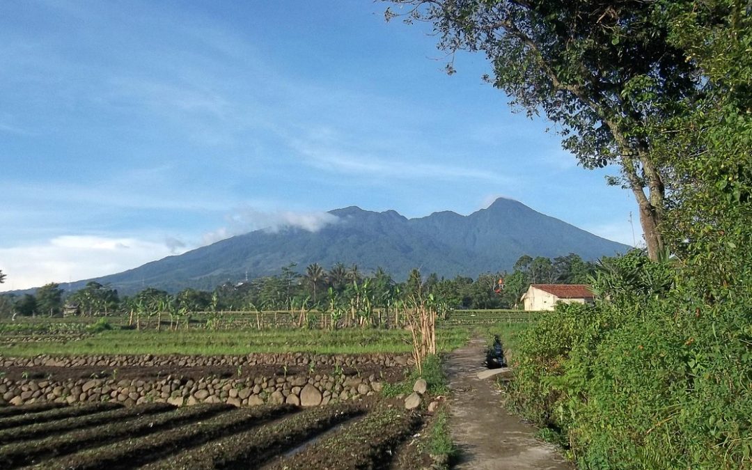 Panduan Lengkap Perpanjangan Paspor di Padang Pariaman