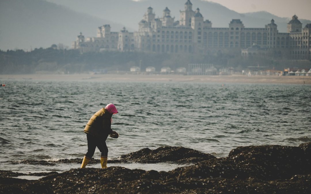 Tips Sukses Mengajukan Visa di Padang Pariaman